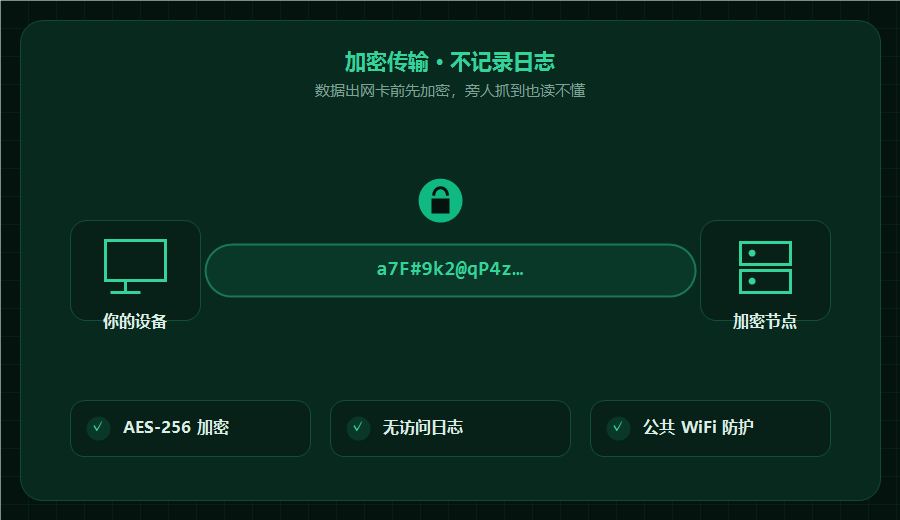 加速器加密传输示意图，数据走密文通道不记录日志